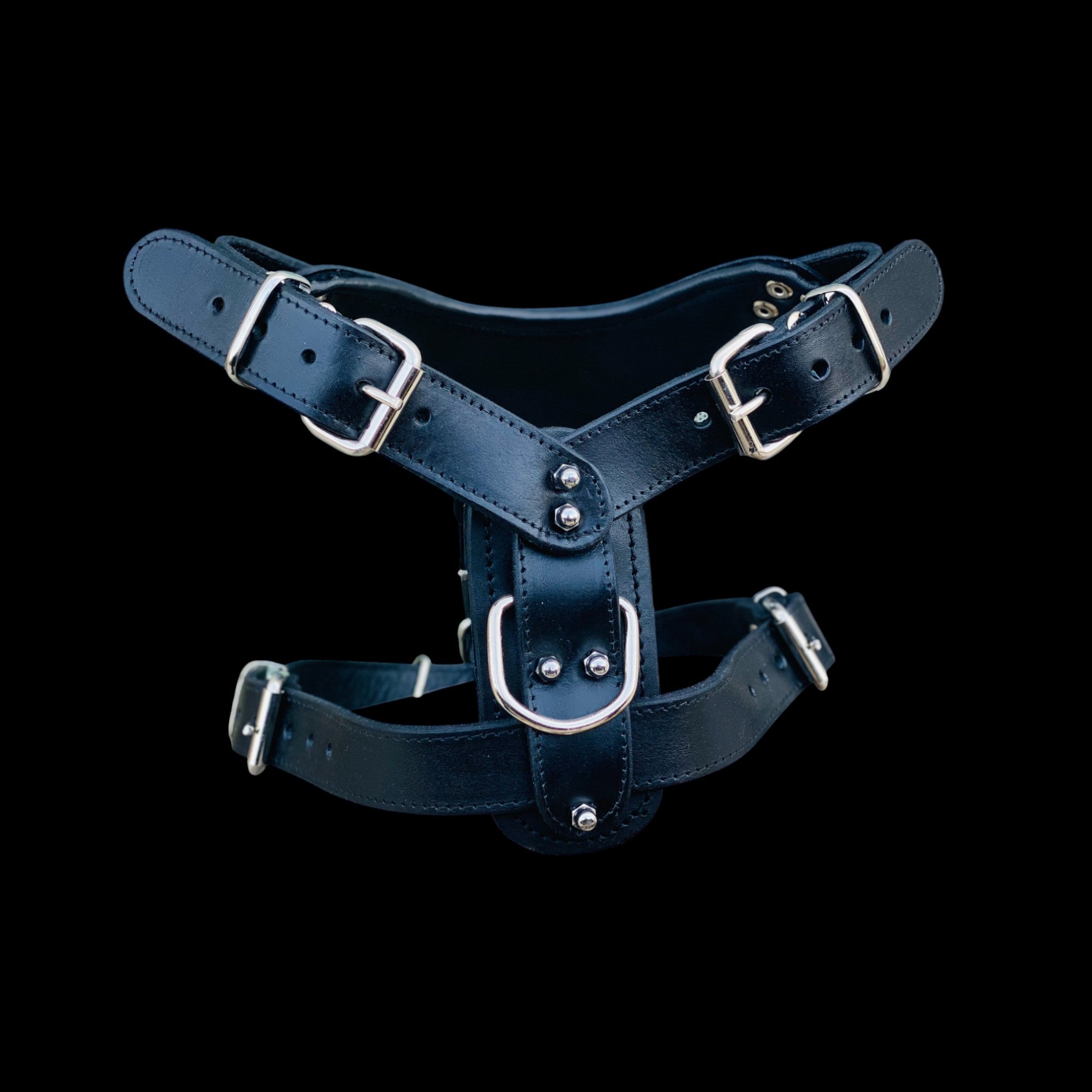 Black leather spiked harness with wolf logo for Belgian Malinois