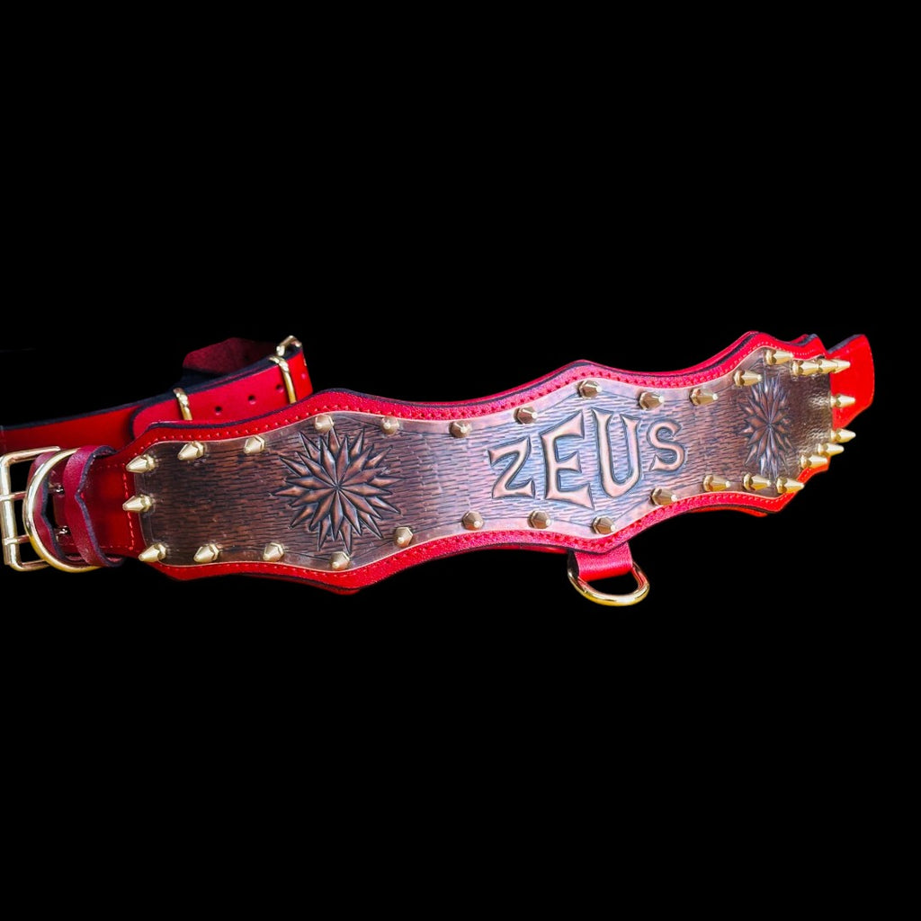 Handmade Copper Dog Collar & Harness Set – Personalized Red Leather Spiked Set