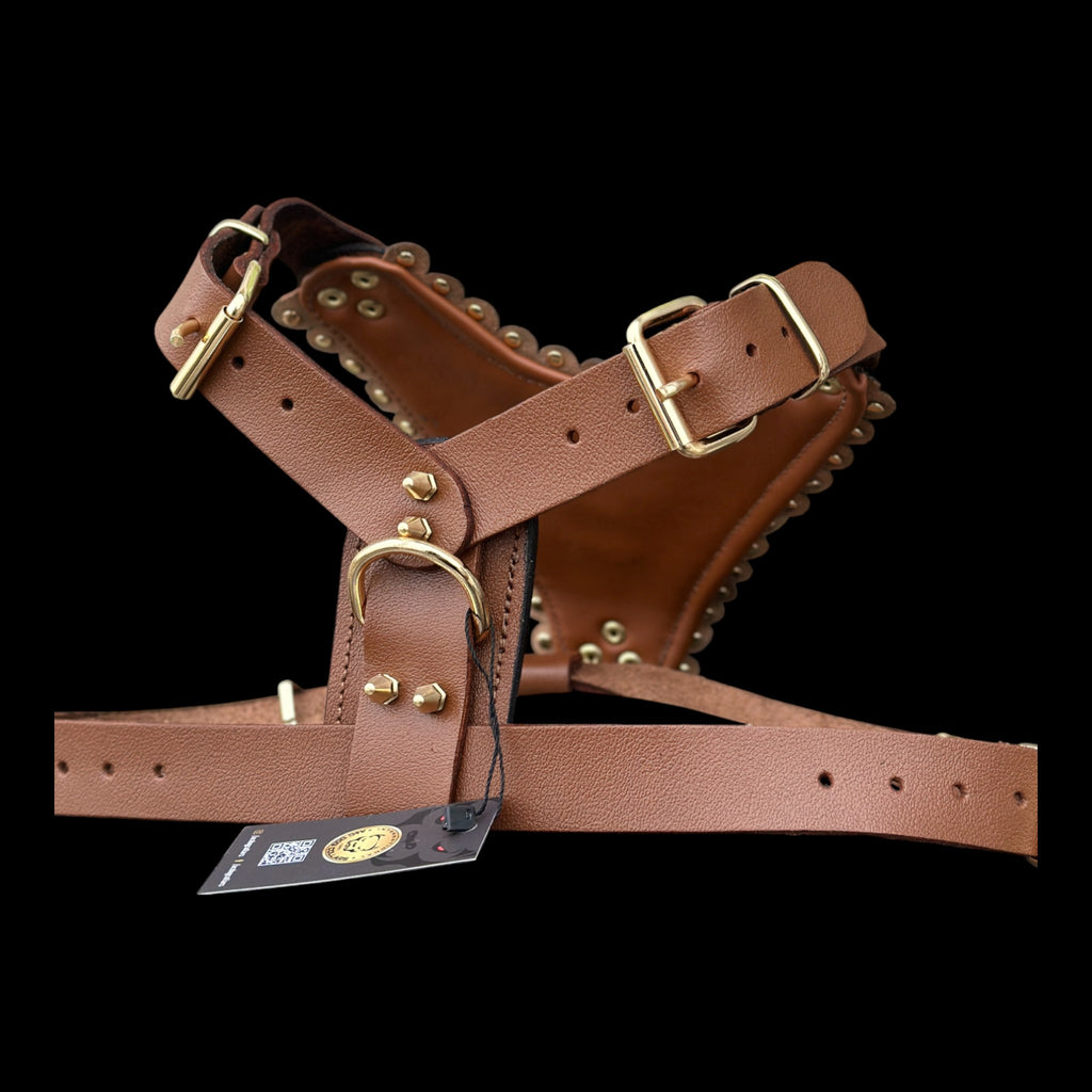 Luxury Handmade Brown Leather Dog Chest Harness with Gold Steel Plate, Bully Head & Lion Logo – Perfect for Cane Corso, Rottweiler, Kangal, Doberman, Bully, Malinois & Large Breeds