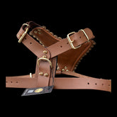 Luxury Handmade Brown Leather Dog Chest Harness with Gold Steel Plate, Bully Head & Lion Logo – Perfect for Cane Corso, Rottweiler, Kangal, Doberman, Bully, Malinois & Large Breeds - A&C Dog Collars