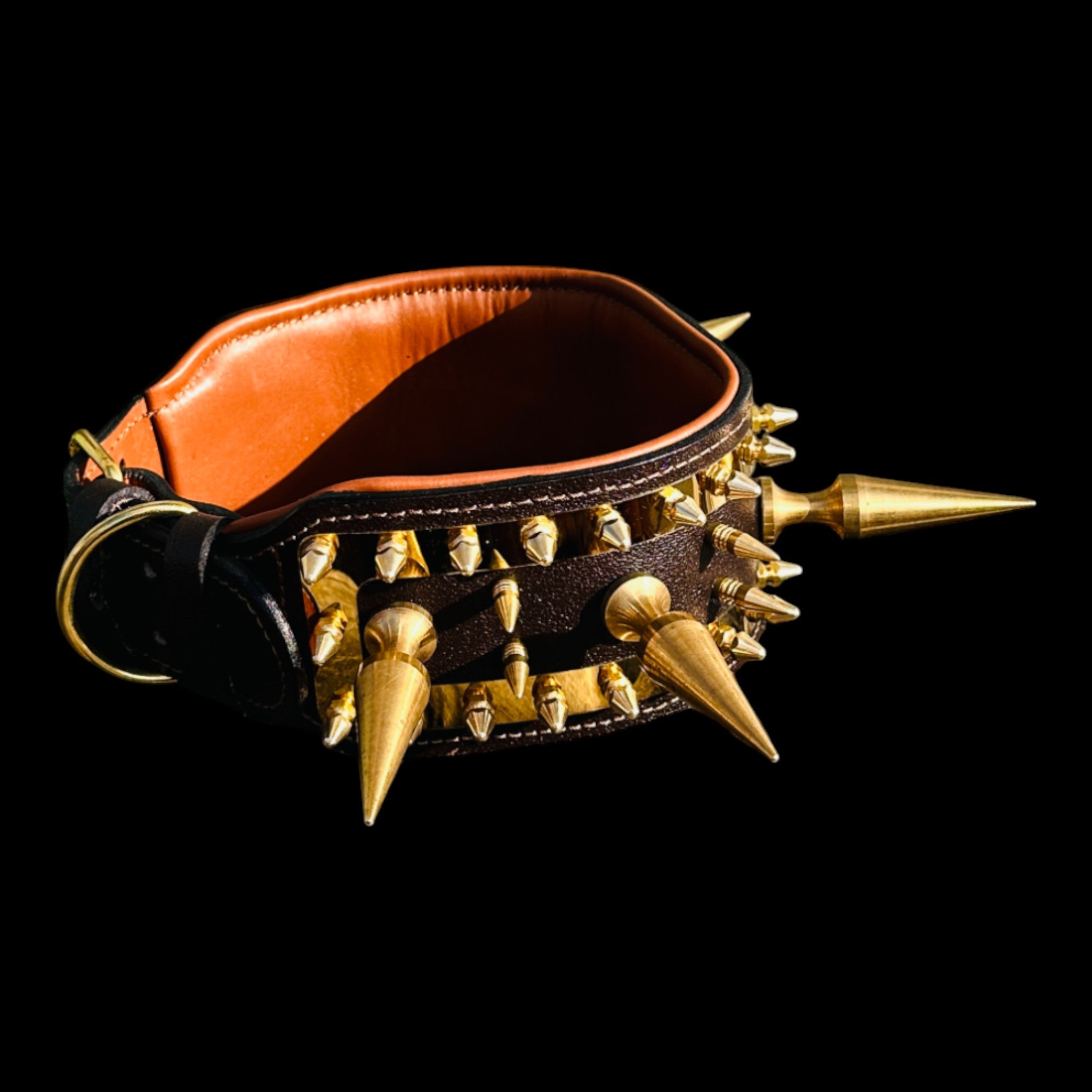 Presa Canario black and gold power collar