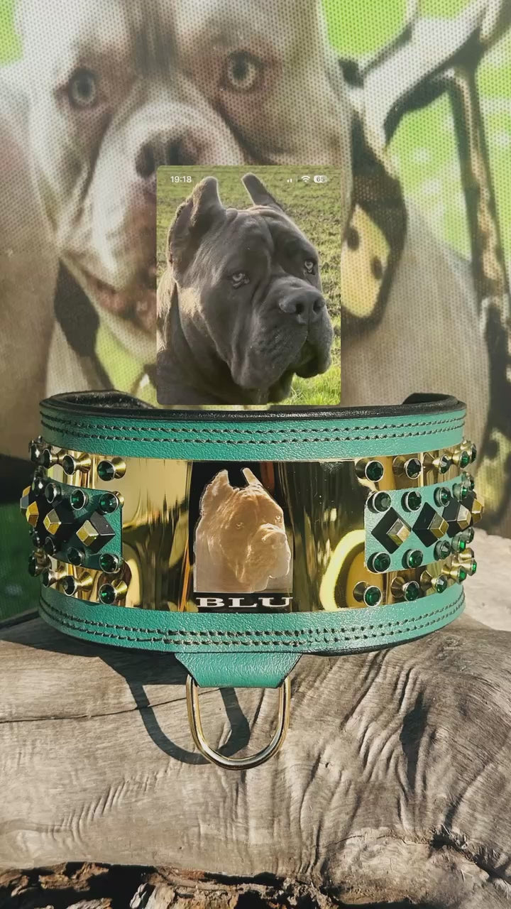 Custom Leather Dog Collar: Laser Engraved Photo, Crystal Accents