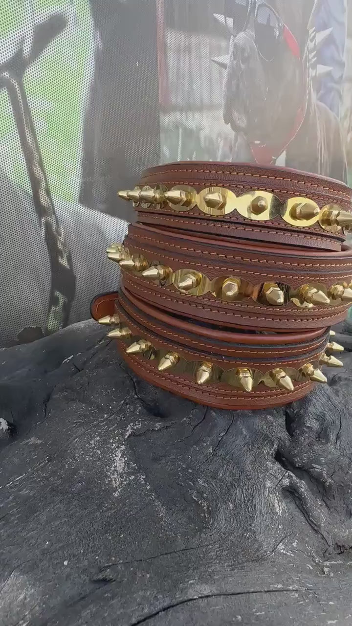 Buffalo Leather Spiked Dog Collar – Handmade Brown Gold Edition,