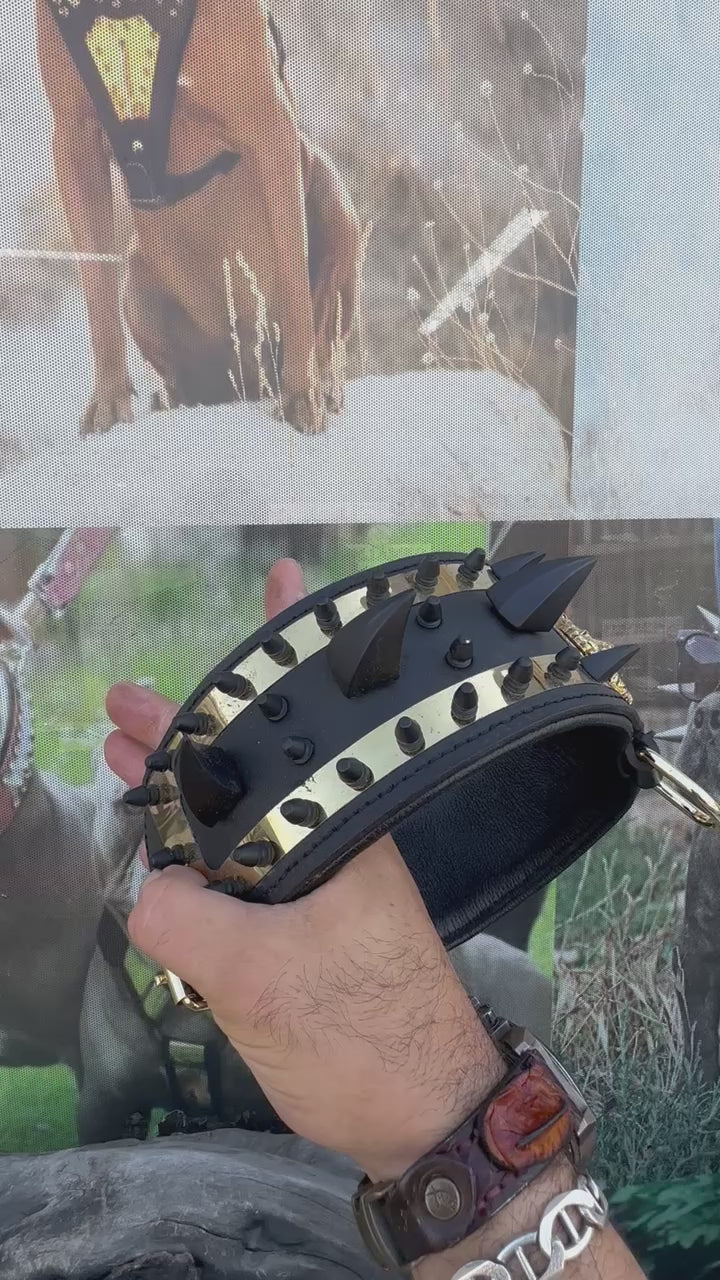 Elegant black leather collar with golden lion emblem