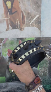 Elegant black leather collar with golden lion emblem