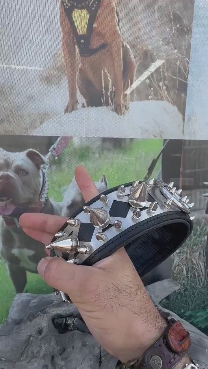 Handmade Spiked Leather Dog Collar: Custom Engraved Name Plate