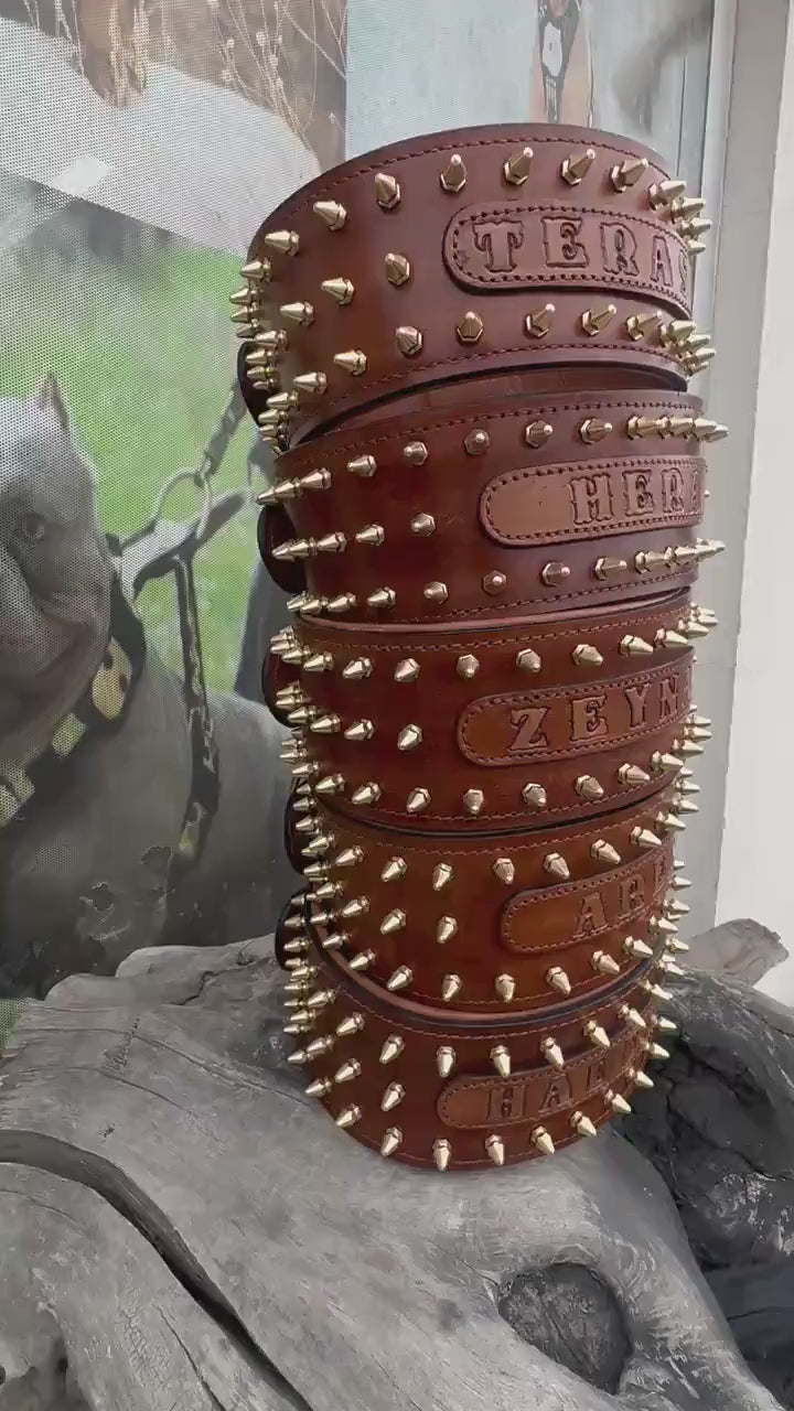 Custom Leather Spiked Dog Collar: Engraved Name, Wide Handmade Collar