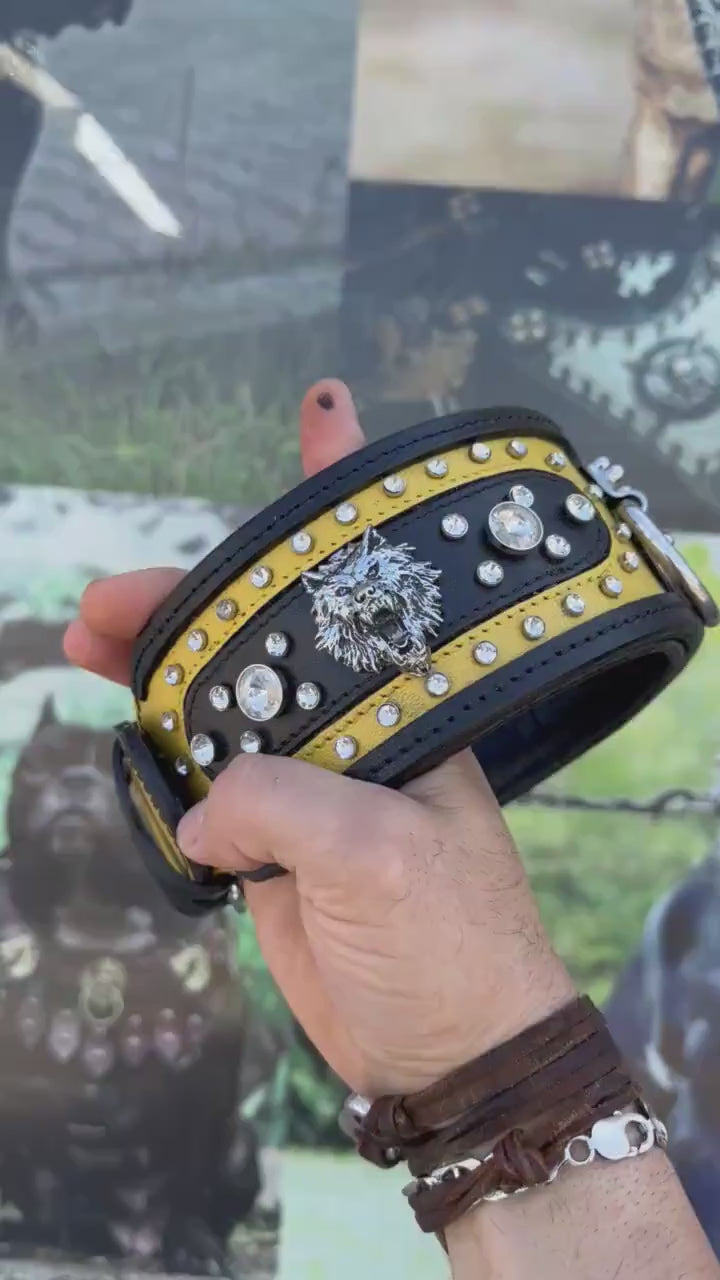 Black & Yellow Crystal Dog Collar: Custom Engraved Leather Collar
