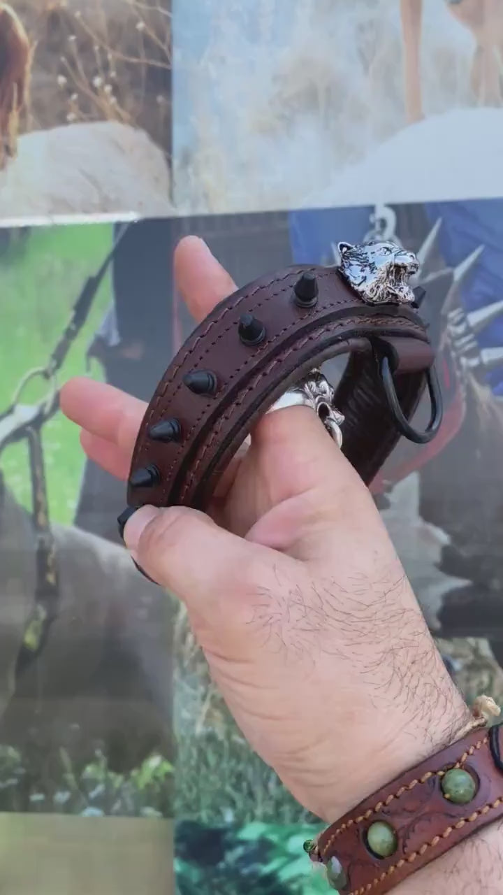 Brown Leather Spiked Dog Collar: Silver Lion Emblem, Padded Comfort
