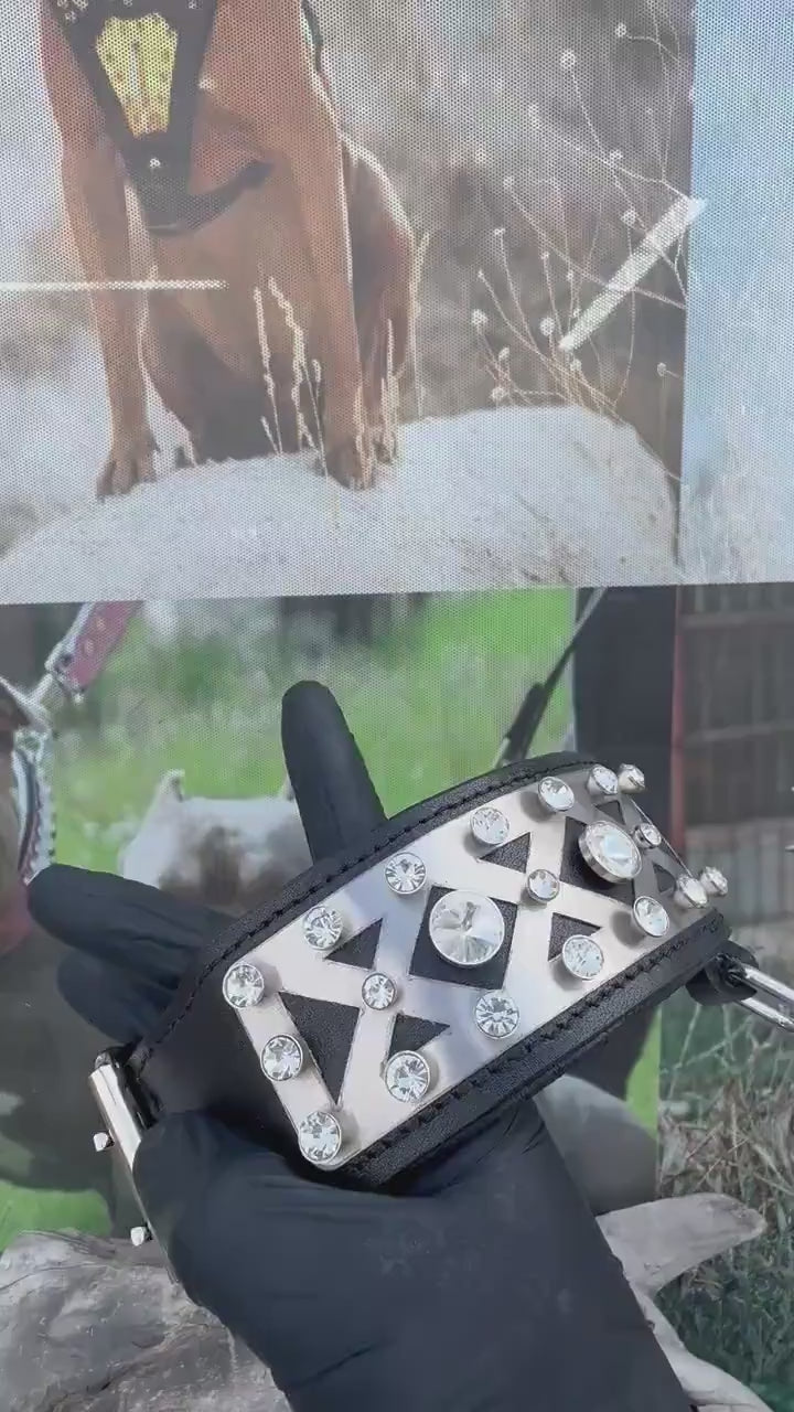 Custom Photo Dog Collar: Padded Buffalo Leather, Crystal Studded - Large Breeds