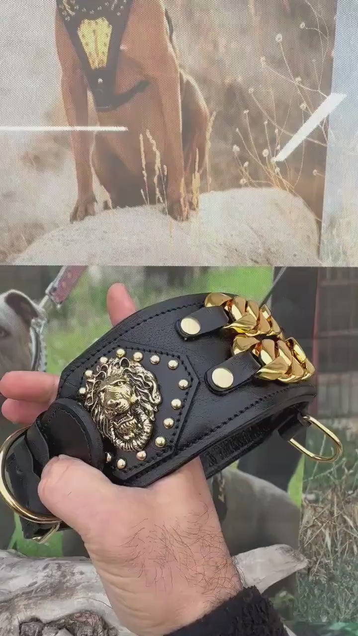 Handmade Wide Buffalo Leather Dog Collar: Gold Lion, Chain Detail