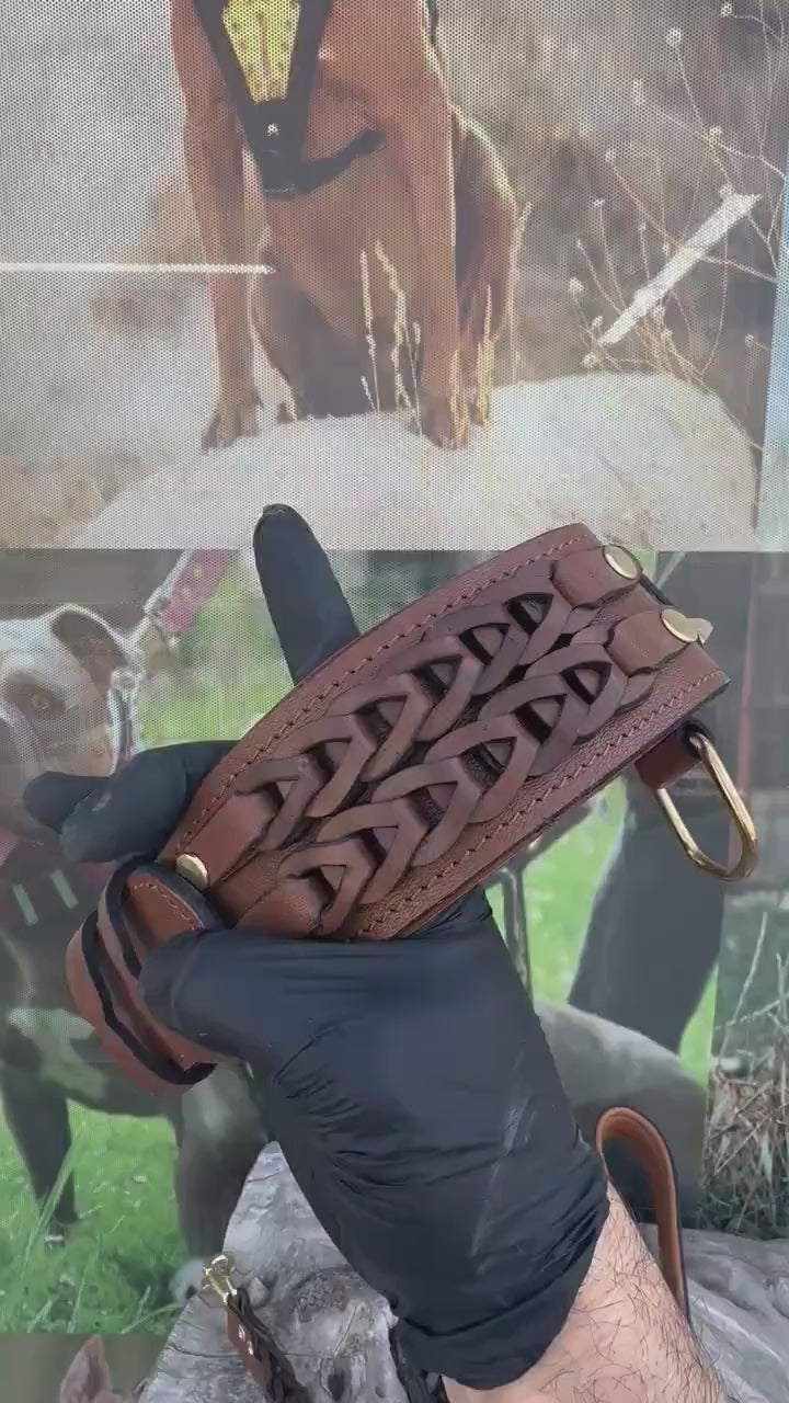 Handmade Braided Leather Dog Collar: Wolf Emblem, Large Breeds