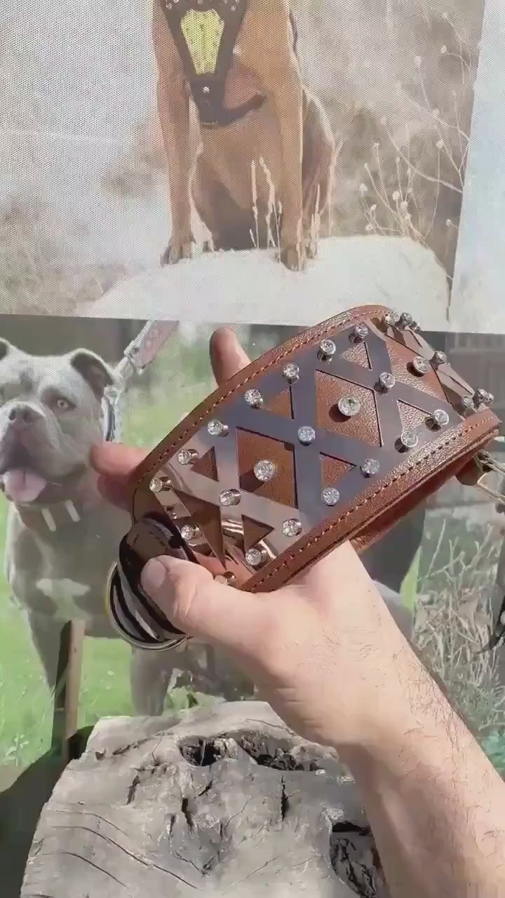 Luxury Leather Dog Collar: Handmade Bronze Steel & Crystal
