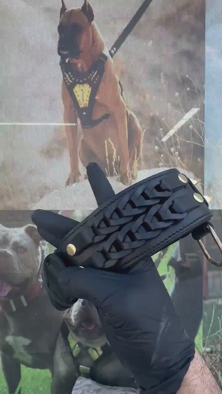 Handmade Braided Black Leather Dog Collar | Lion Logo, Large Breeds