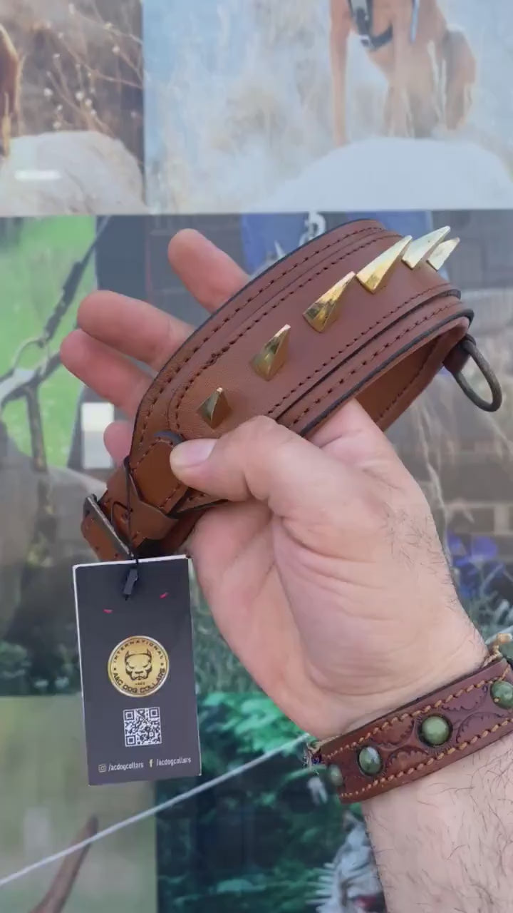 Brown Buffalo Leather Spiked Dog Collar: Handmade Brass Knuckle Emblem