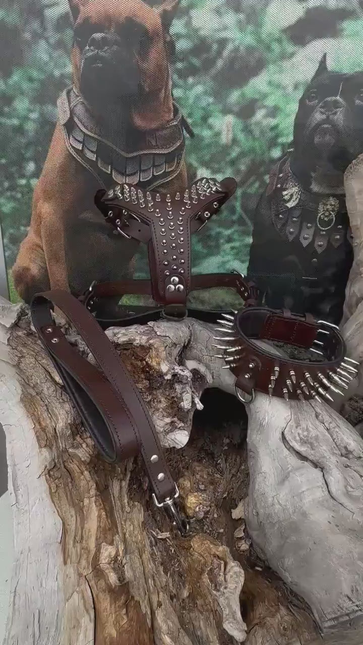 Handmade Buffalo Leather Dog Harness Set: Personalized Spiked Collar