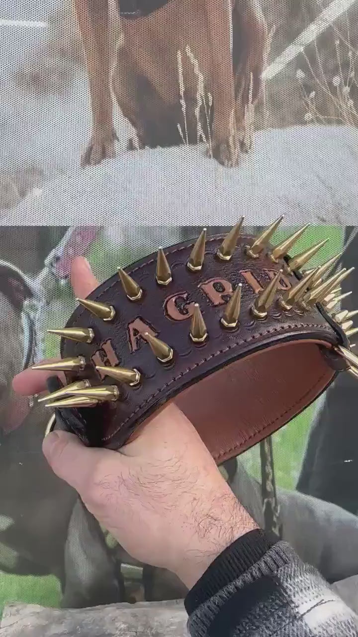 Handcrafted 8 cm Spiked Dog Collar, Personalized Name, for Cane Corso, American Bully, Doberman