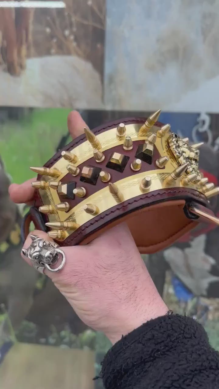 Handmade Leather Dog Collar: Lion Figured, Gold Brass, Engraved Nameplate