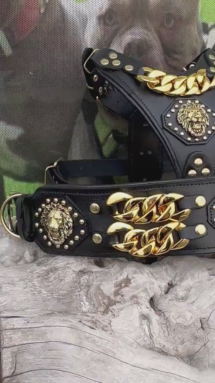 Luxury Leather Dog Collar Harness Set: Gold Chain Lion Logo