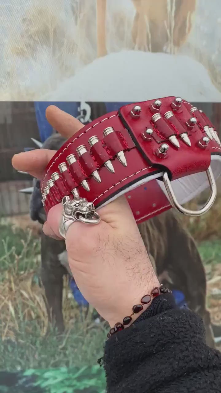 Bullet Dog Collars, Handmade Dog Collars, Custom Dog Collar, Personalized Collars,Engraved Dog Collar, Custom Dog Collar with Name Plate