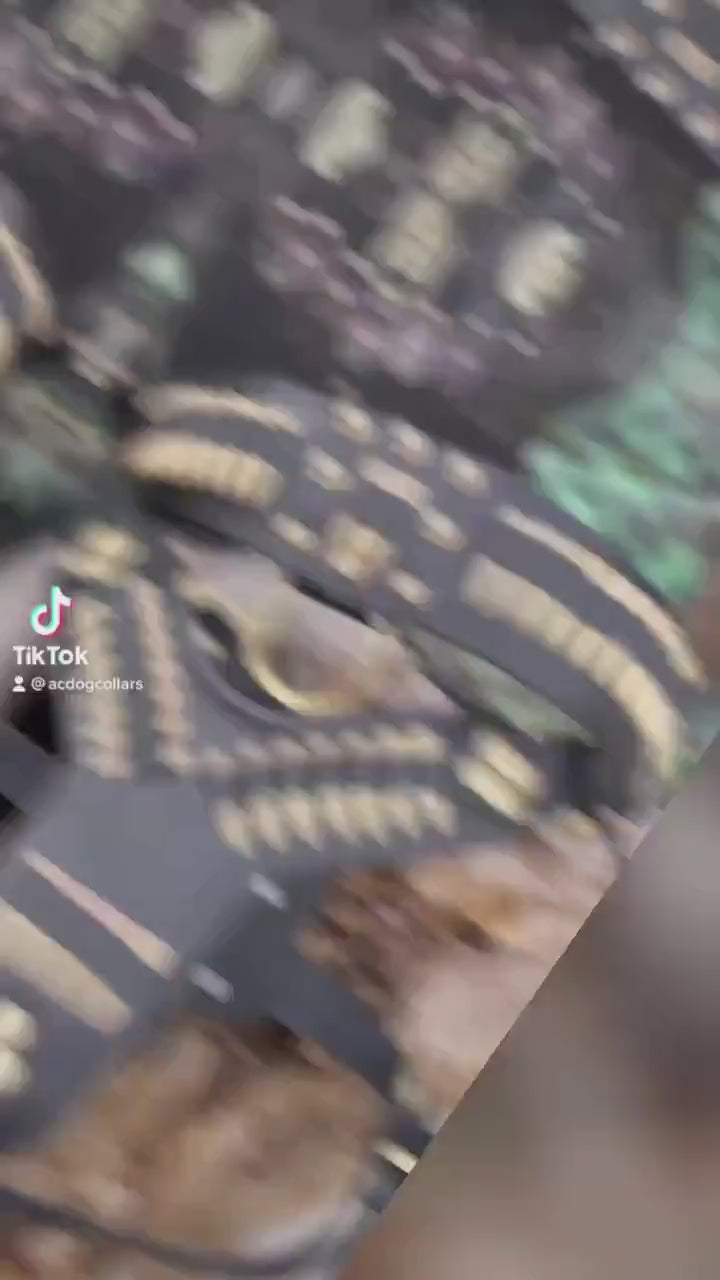 Handmade Buffalo Leather Dog Collar Set: Engraved Nameplate, Large Breeds