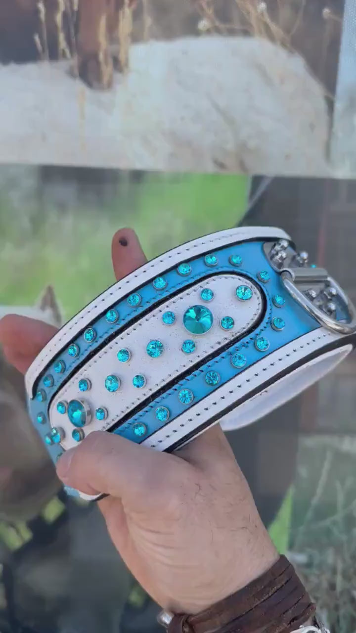 Crystal Dog Collar: Personalized Leather Collar with Name Plate