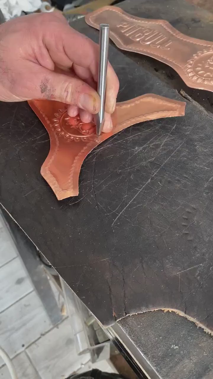 Gladyator Leather Dog Harness Walk Set: Personalized Engraved Collar