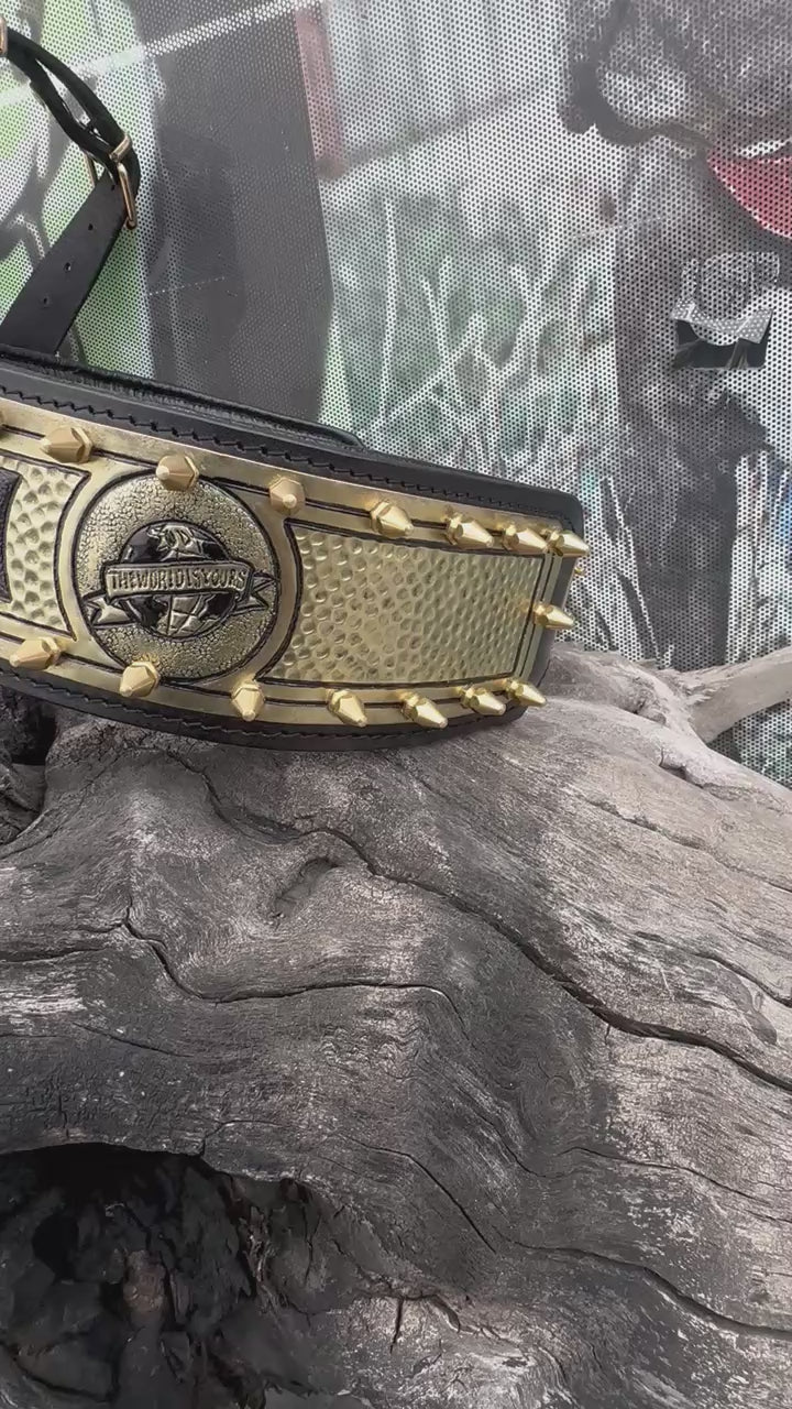 Personalized Black & Gold Leather Dog Collar & Harness Set – Handmade Spiked Design