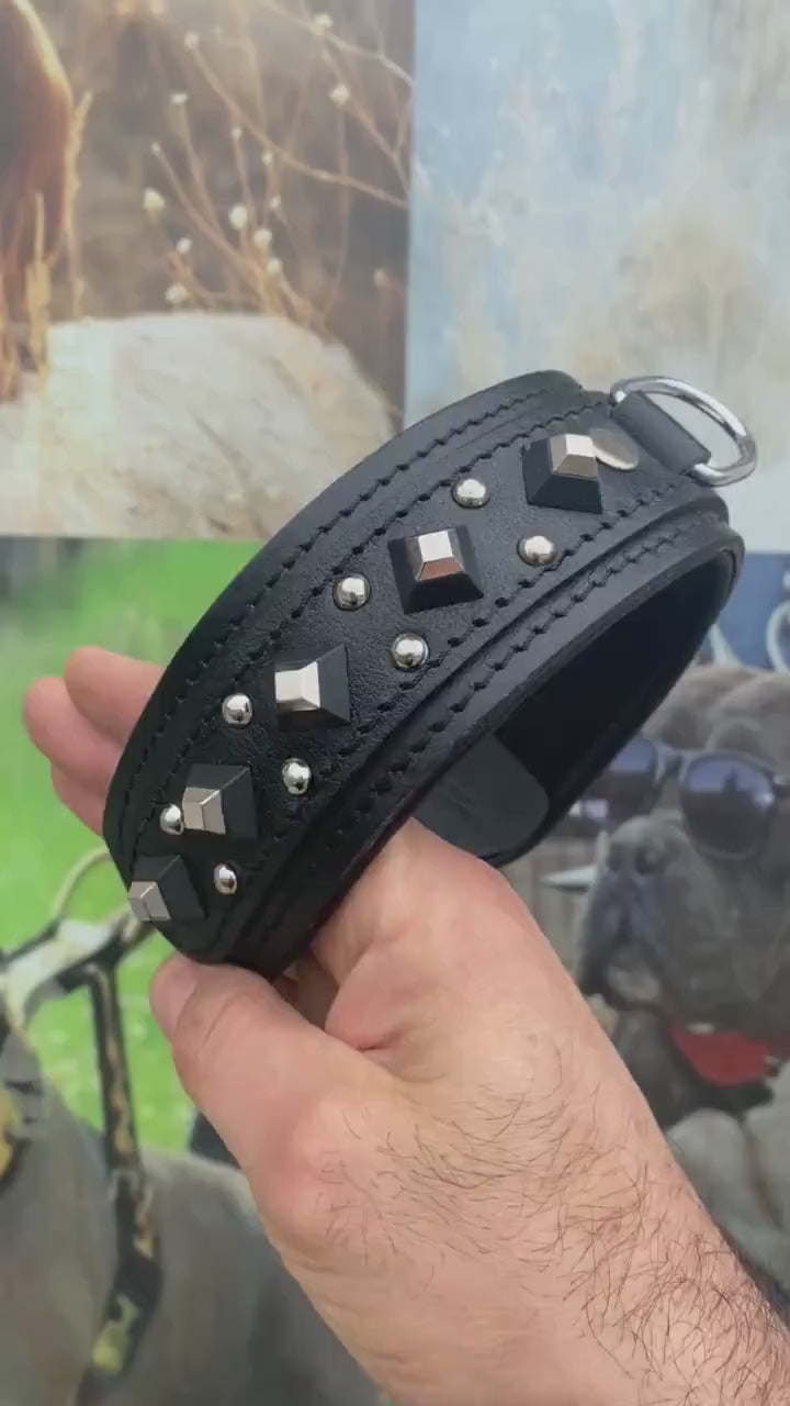 Black Leather Studded Dog Collar: Padded Buffalo Leather, Wide 4.5cm