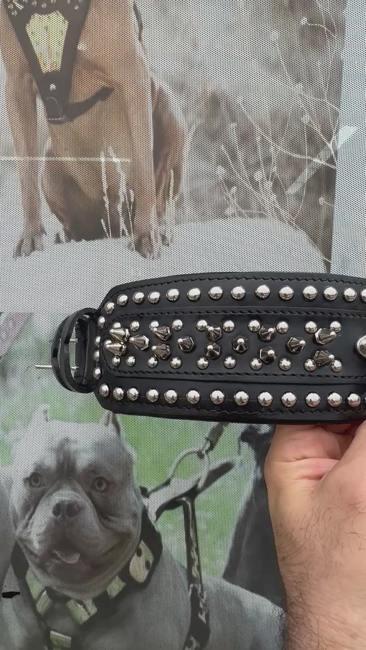 Black Leather Dog Collar, Harness & Leash Set – Handmade Spiked Large Breed Set