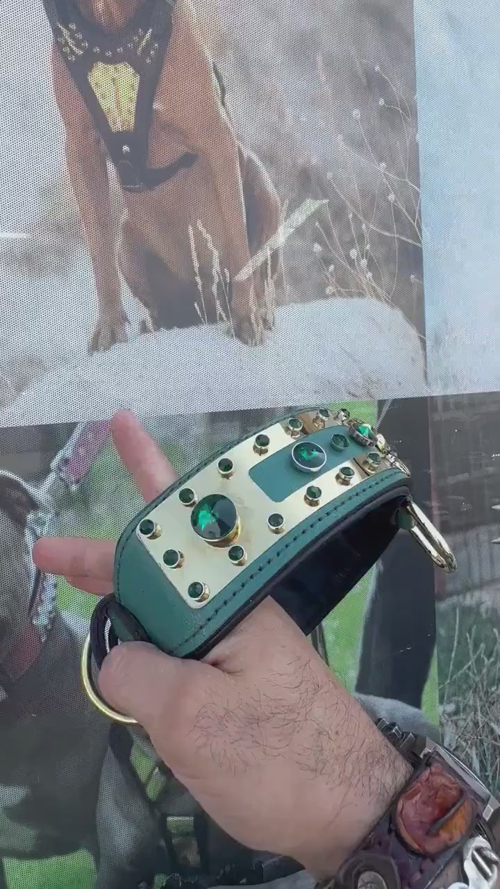 Handmade Leather Dog Collar: Personalized Engraved Name Plate