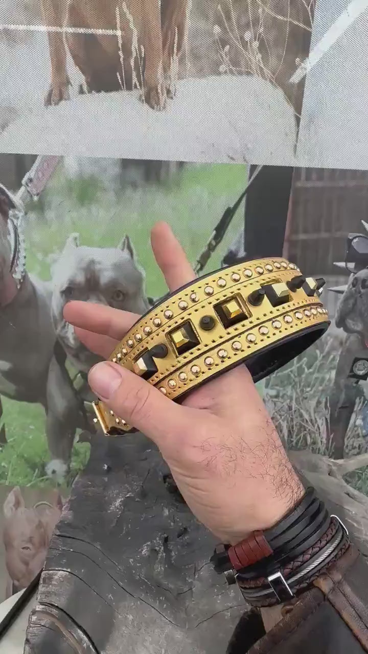 Gold Studded Buffalo Leather Dog Collar – Handmade Strong Collar