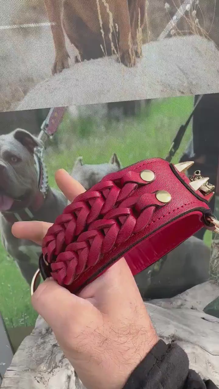 Handmade Buffalo Leather Dog Collar: Custom Engraved Name Plate