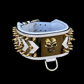 Punisher Power Dog Collar - A&C Dog Collars