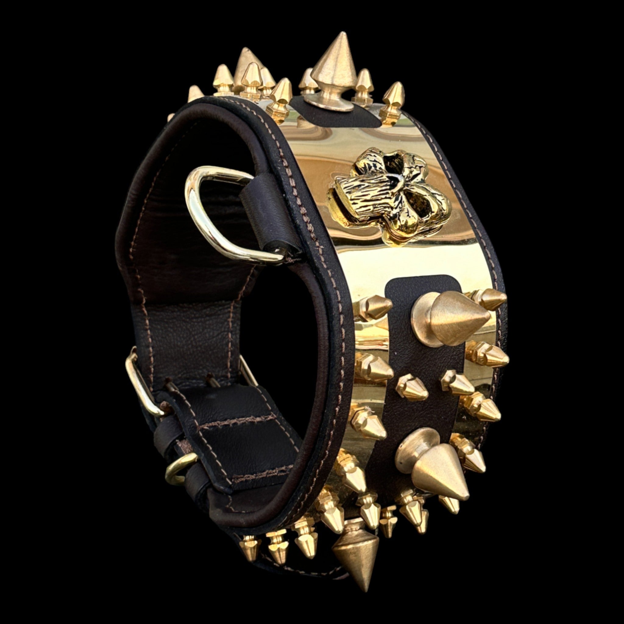Golden Punisher Elite Dog Collar
