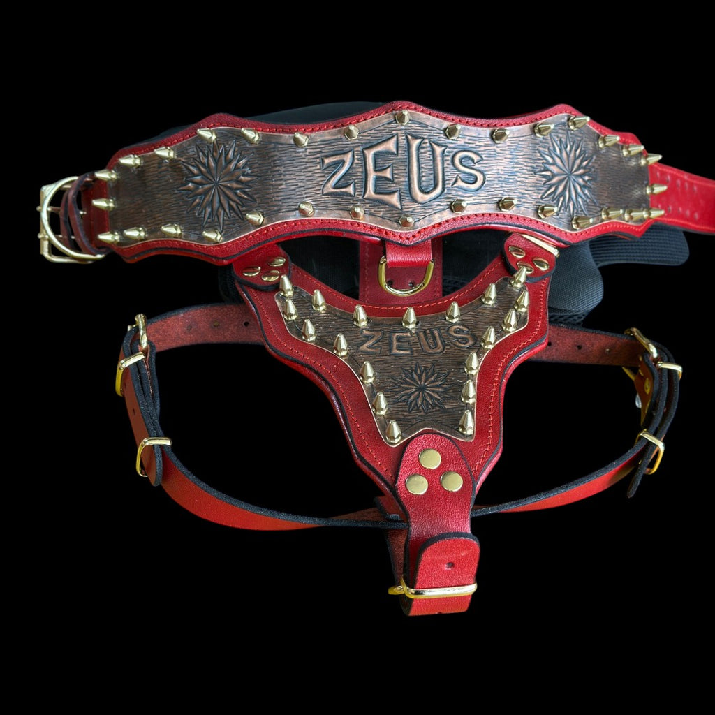 Handmade Copper Dog Collar & Harness Set – Personalized Red Leather Spiked Set