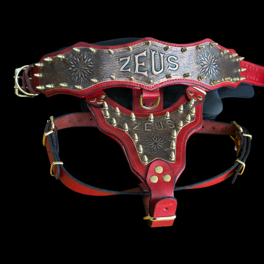 Handmade Copper Dog Collar & Harness Set – Personalized Red Leather Spiked Set