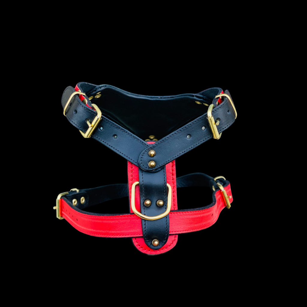 Handmade buffalo leather dog harness with lion emblem. Strong, stylish, and built for powerful breeds like Bully, Cane Corso, Rottweiler & K9
