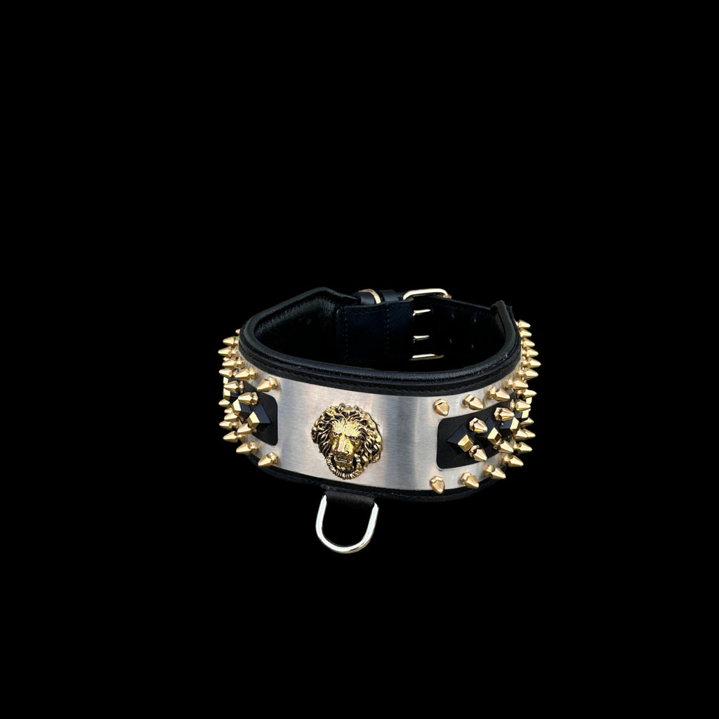 Premium gold and silver dog collar for Doberman