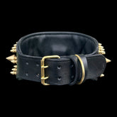 Personalized dog collar with engraved name TAGO