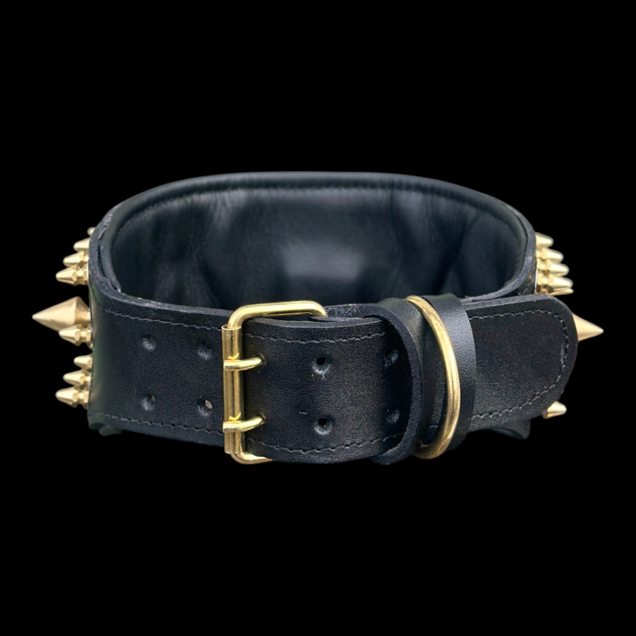 Personalized dog collar with engraved name TAGO