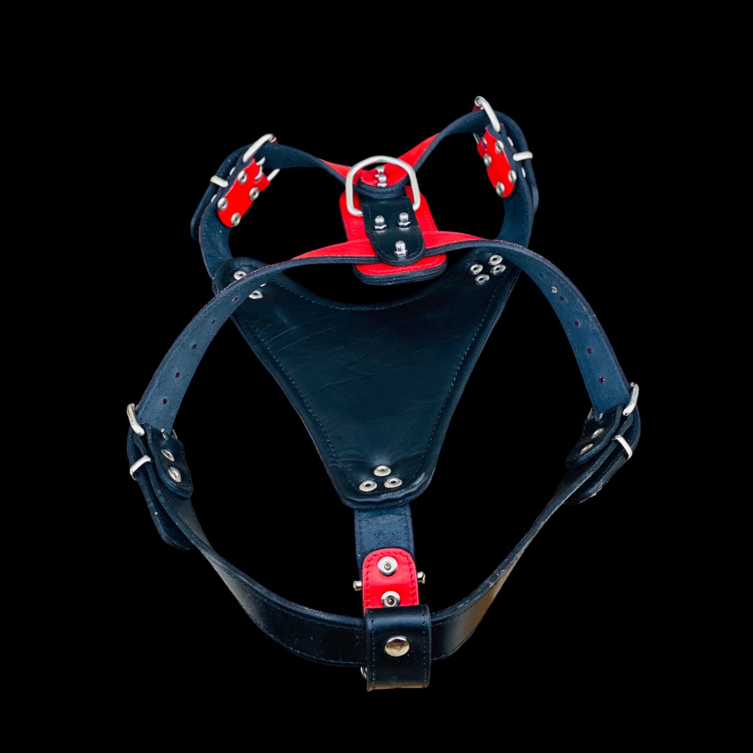 Handmade buffalo leather dog harness with lion emblem. Strong, stylish, and built for powerful breeds like Bully, Cane Corso, Rottweiler & K9 - A&C Dog Collars