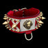 Heavy-duty wide collar for Doberman and Kangal