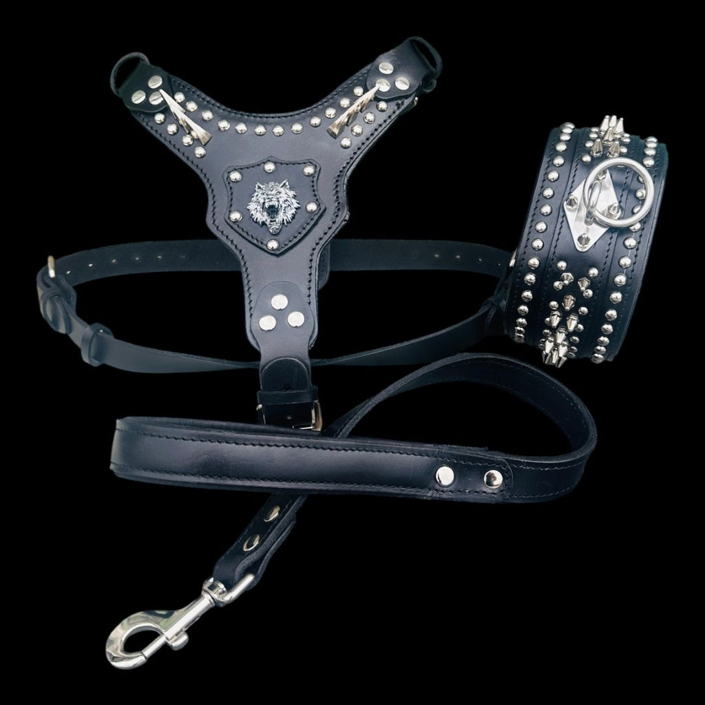Black Leather Dog Collar, Harness & Leash Set – Handmade Spiked Large Breed Set