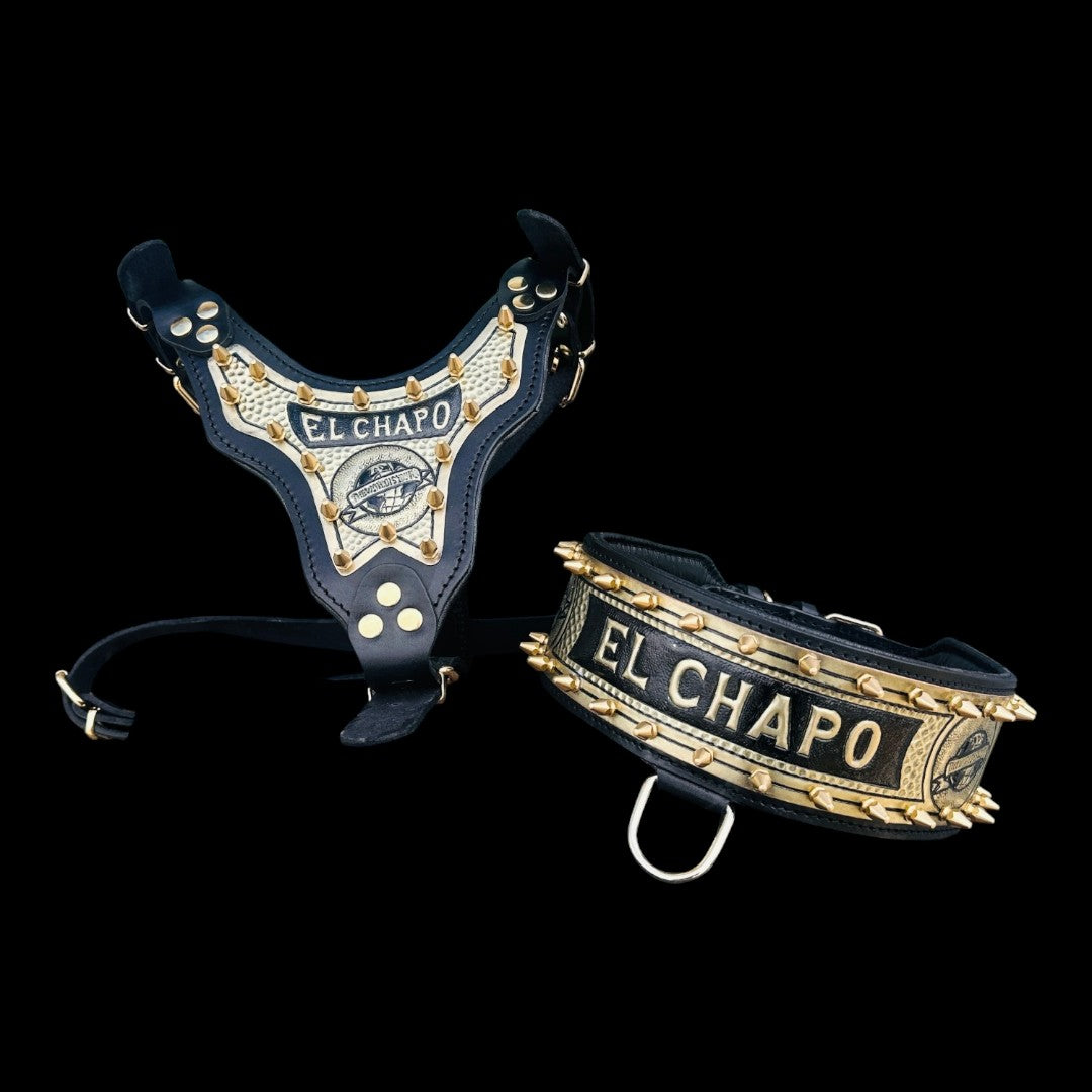Personalized Black & Gold Leather Dog Collar & Harness Set – Handmade Spiked Design