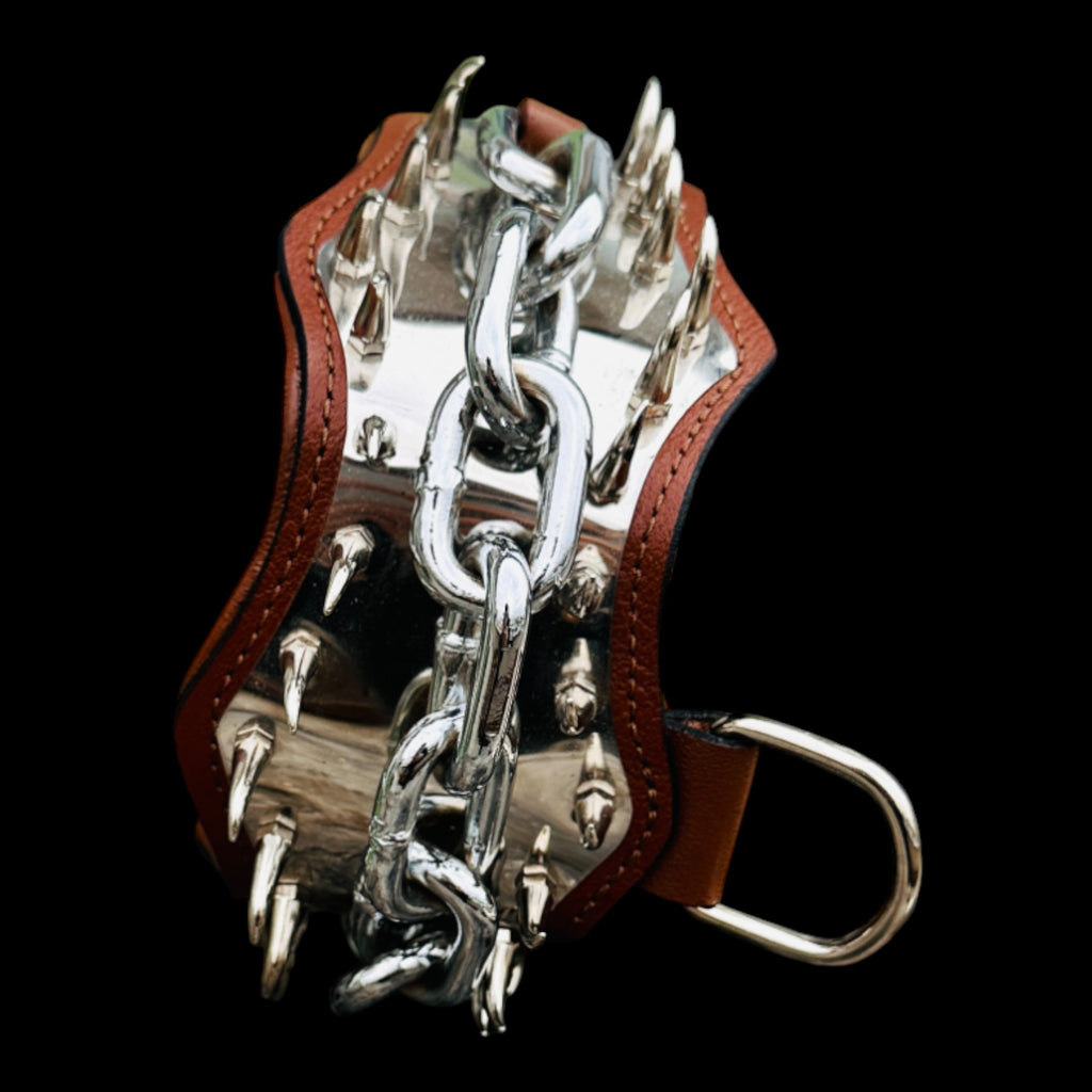 Stylish and strong 8 cm dog collar UPS Express Delivery.