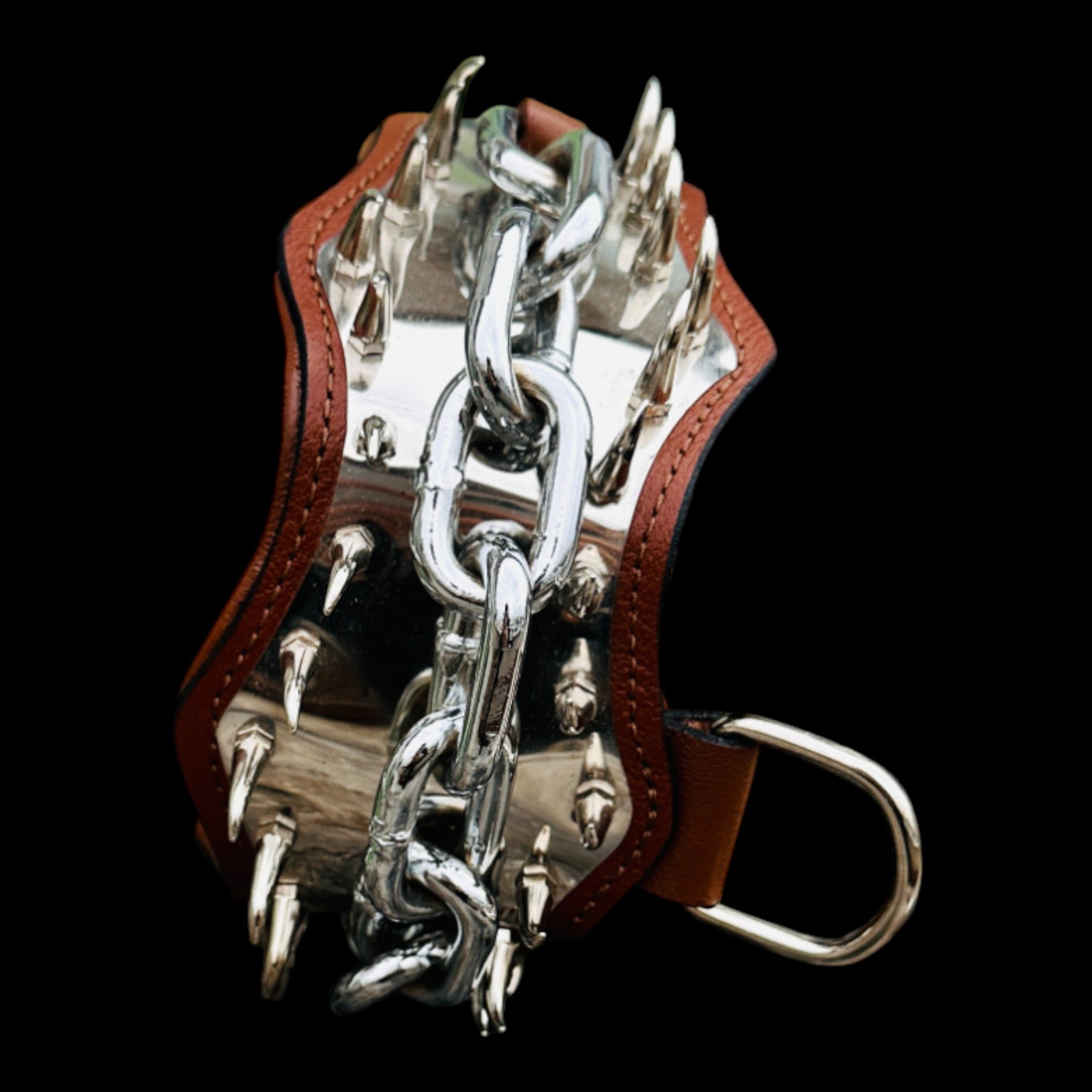 Stylish and strong 8 cm dog collar UPS Express Delivery.