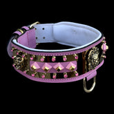 QUEEN ROAR 6 cm gold plate handmade dog collar