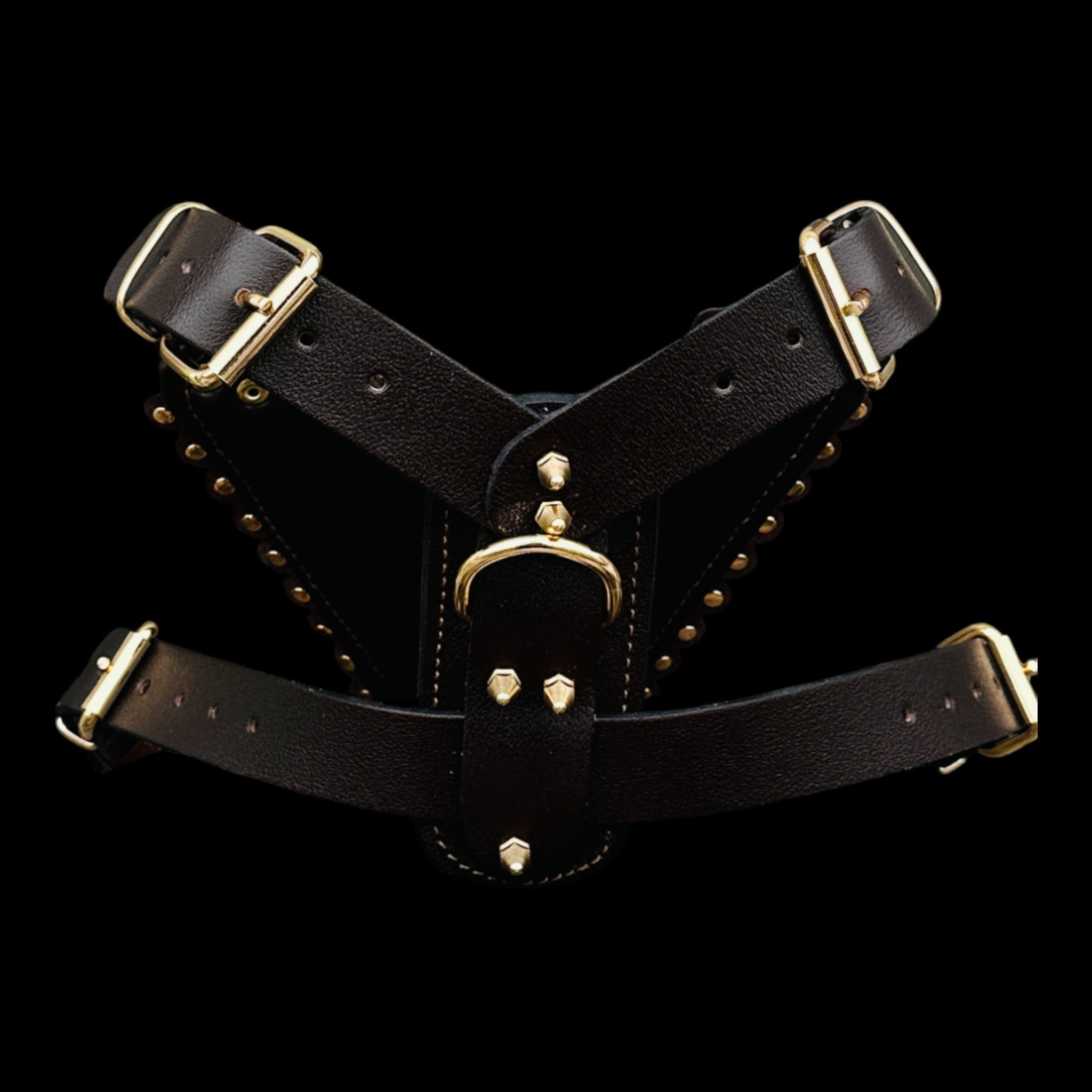 Durable handmade harness with lion design for large dogs