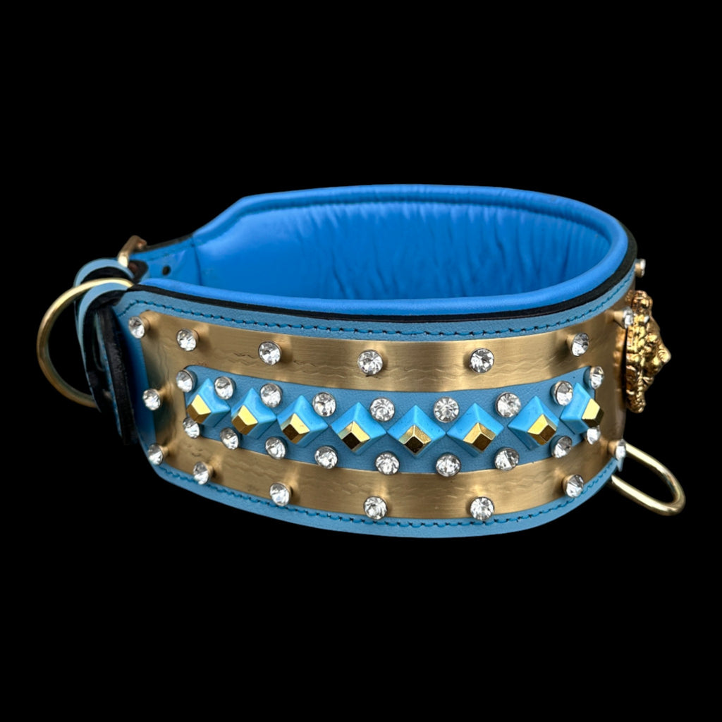 Turquoise and gold leather dog collar UPS Express Delivery.